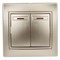 1-105-04 Intro Выключатель двойной с подсветкой, 10АХ-250В, СУ, Plano, шампань Б0053778