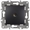 12-3101-05 ЭРА Розетка TV одиночная, IP20, Эра12, антрацит Б0014709