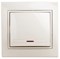 1-102-02 Intro Выключатель с подсветкой, 10А-250В, IP20, СУ, Plano, сл.кость Под заказ Б0027598