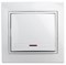 1-102-01 Intro Выключатель с подсветкой, 10АХ-250В, СУ, Plano, белый Б0053729