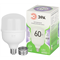 Лампа светодиодная ЭРА GREEN LINE LED POWER T100-60W-865-E27/E40   60 Вт колокол холодный б Б0066980